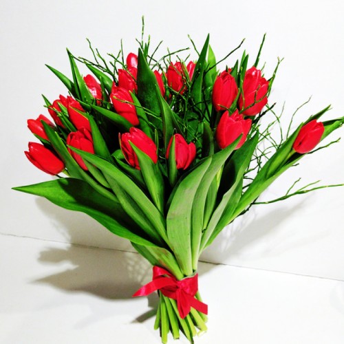 Bouquet of red tulips 